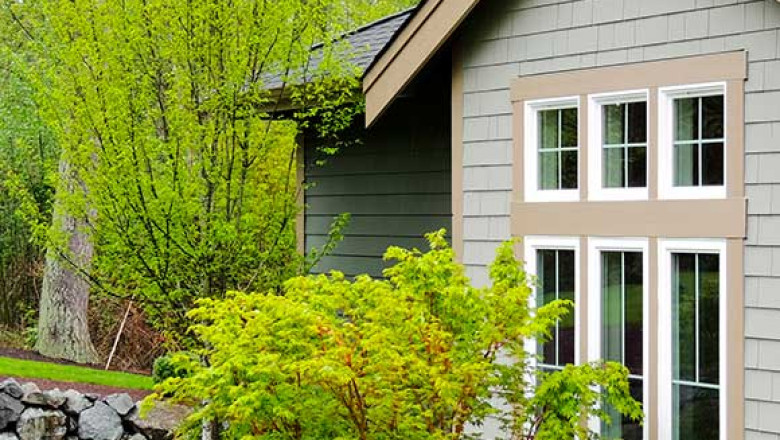 Top 3 Questions to Ask Before Hiring a Tree Trimming Company