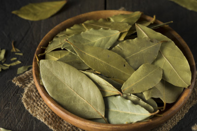 Bay Leaf Market Share, Size Global Growth Analysis