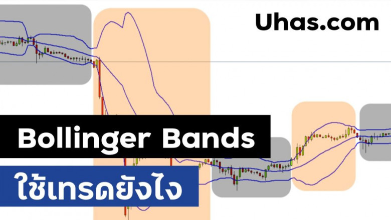 8 Factors For You to start Forex Trading