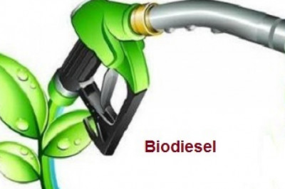 Biodiesel Market Size, Share, Growth, Analysis, Opportunity and Forecast 2030 | ChemAnalyst