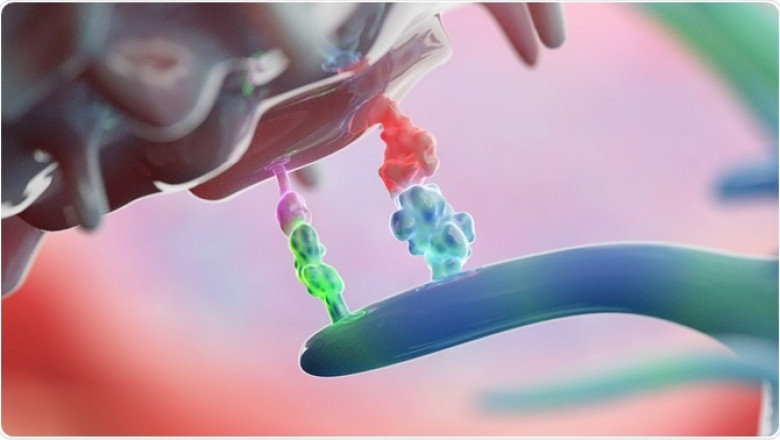 IMMUNE CHECKPOINT INHIBITORS MARKET - GROWTH, TRENDS, COVID-19 IMPACT, AND FORECASTS (2022 – 2027)