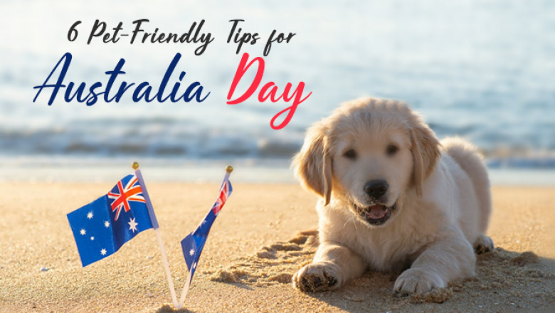 6 Pet-Friendly Tips For Australia Day