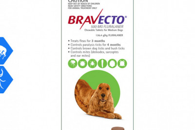 BRAVECTO 2 Chews for 10-20Kg Dogs 3 Months protection from Flea and Tick