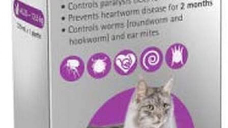 BRAVECTO PLUS for Cats 6.25 to 12.5 Kg PURPLE Pack 1 Pipette