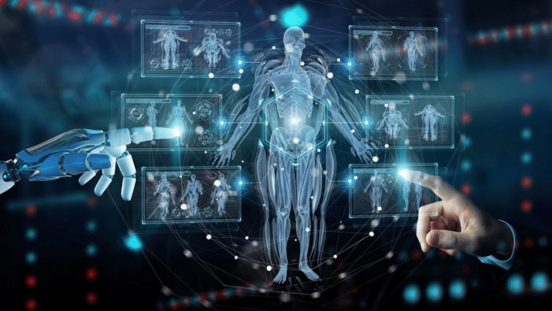 Contract Textile Market In Chemical and Materials Industry With Top Players