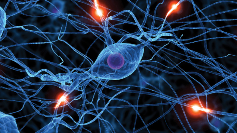 Global Bioelectric Medicine Market Comprehensive Analysis and Future Estimations 2026