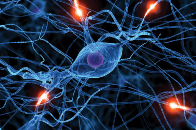 Global Bioelectric Medicine Market  Comprehensive Analysis and Future Estimations 2026