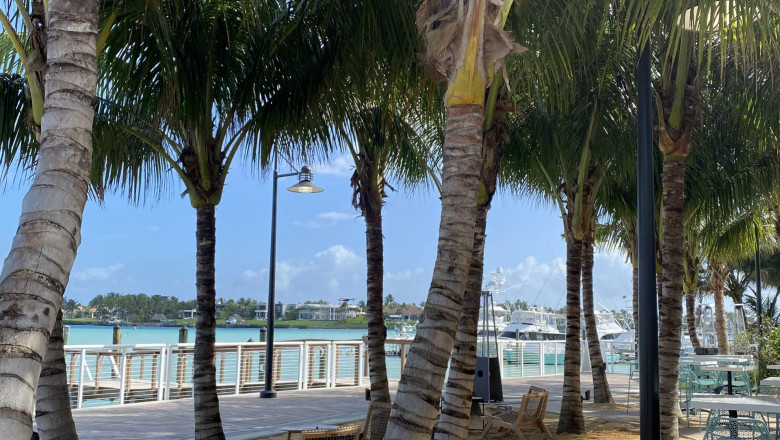 What makes cruise vacations so special