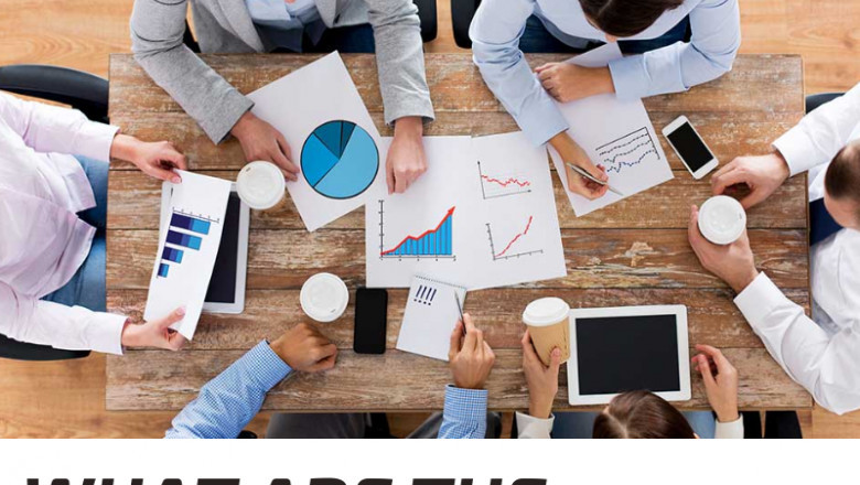What are the audit's goals?