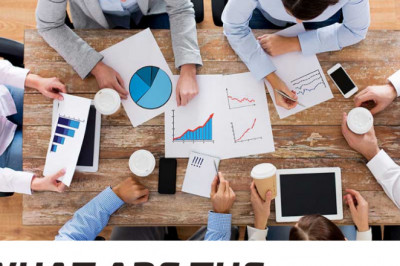 What are the audit's goals?
