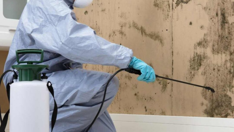 Best Pest Control Services in Thane