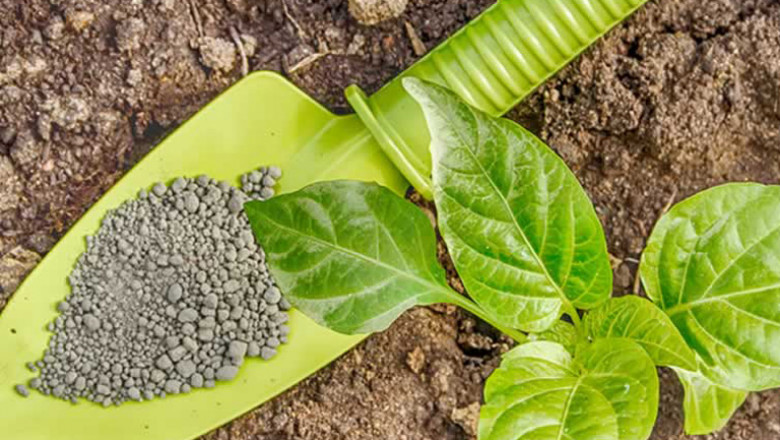 Bionematicides Market Report 2021: Investment Analysis and Growth Opportunities 2021-2027