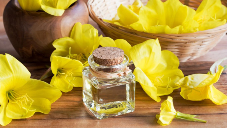 Global Evening Primrose Oil Consumption 2027 Market Research Report