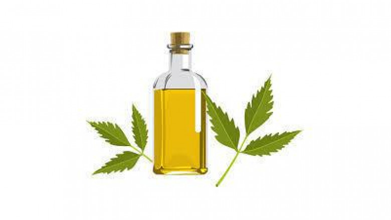 Neem-based Pesticides market To See Significant Rise In Coming Years | The National Fertiliser Limited, Agrilife