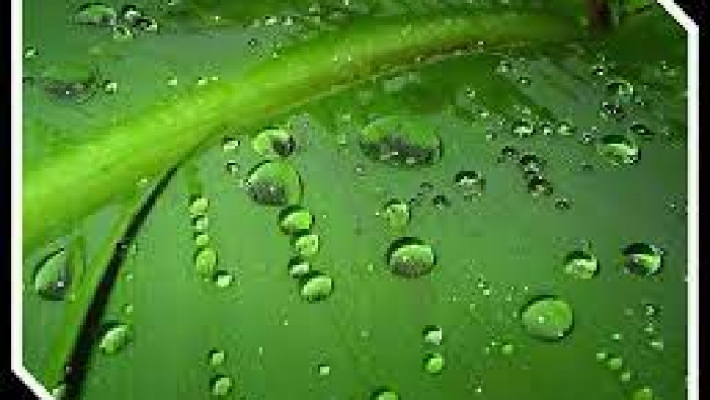 Pesticide Adjuvants market Future Growth Explored In Latest Research Report By 2027 | BASF SE, Akzo Nobel N.V.