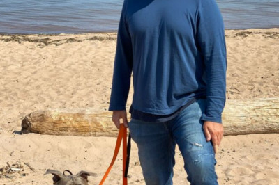 Send Your Pawed Friend For Dog Board And Train