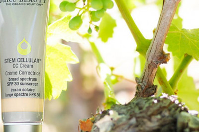 Why Include Fruit in Organic Skincare Ingredients?