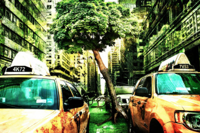 Selling Your Cars for Best Scrap Prices: Cash For Scrap Cars