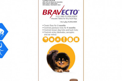 BRAVECTO 2 Chews for 2-4.5Kg Dogs 3 Months protection from Flea and Tick
