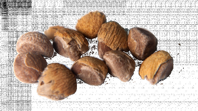 Buy Cebil | Anadenanthera Colubrina Seeds Online