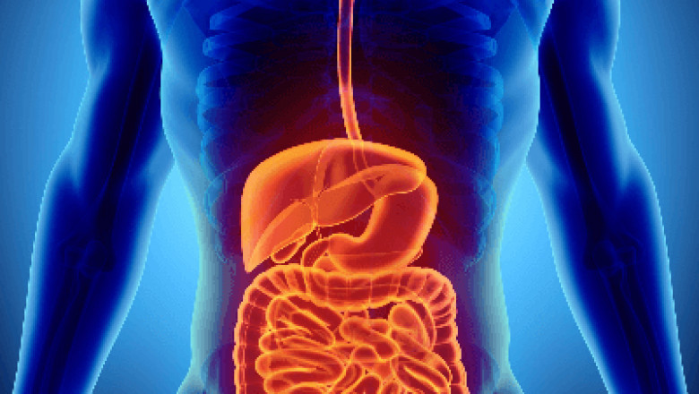 Inflammatory Bowel Disease Market - Global Opportunity Analysis and Industry Forecast, 2020-2028