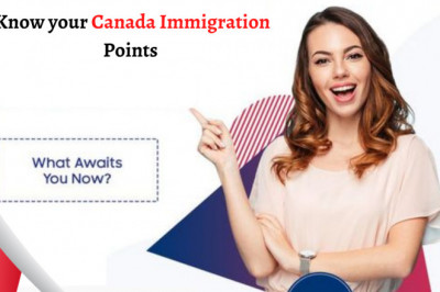 PGWP holders are becoming more prevalent in the Canadian labour force.