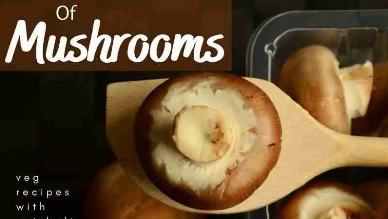 Benefits Of Mushrooms and Types of Mushrooms found in India
