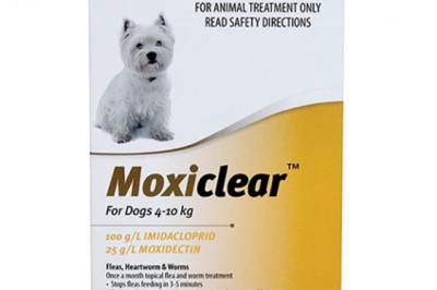 Buy Moxiclear for Small Dogs 4-10 Kg Apricot 3 Pack