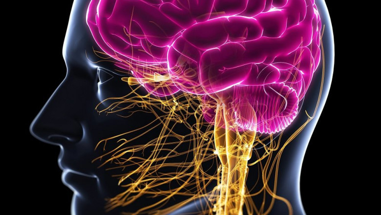 Global Central Nervous System (CNS) Biomarkers Market: Overview