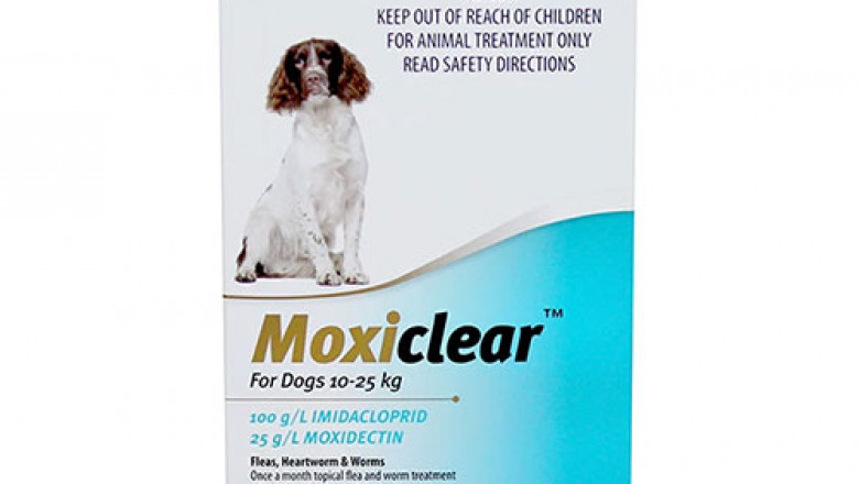 Buy Moxiclear for Medium Dogs 10-25 Kg Teal Pack