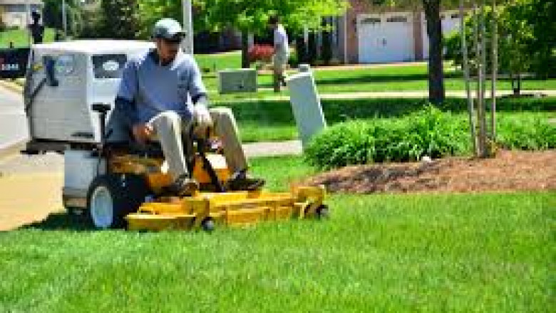 Buying Turf From Professional Landscapers Ensures Attractive Lawns and Gardens