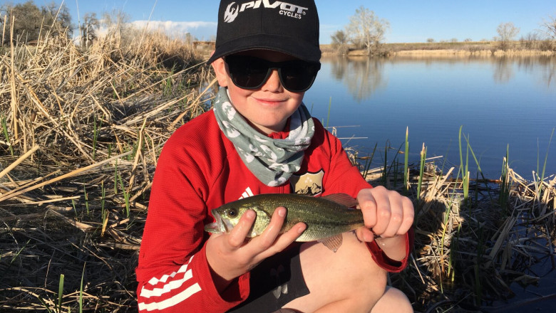 Fly Fishing Classes at Shredder Outdoors