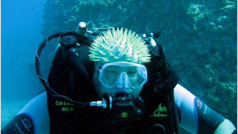 Ocean Enterprises - Leading Scuba Diving Classes, San Diego, California