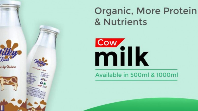 Pure Cow Milk in Ranchi