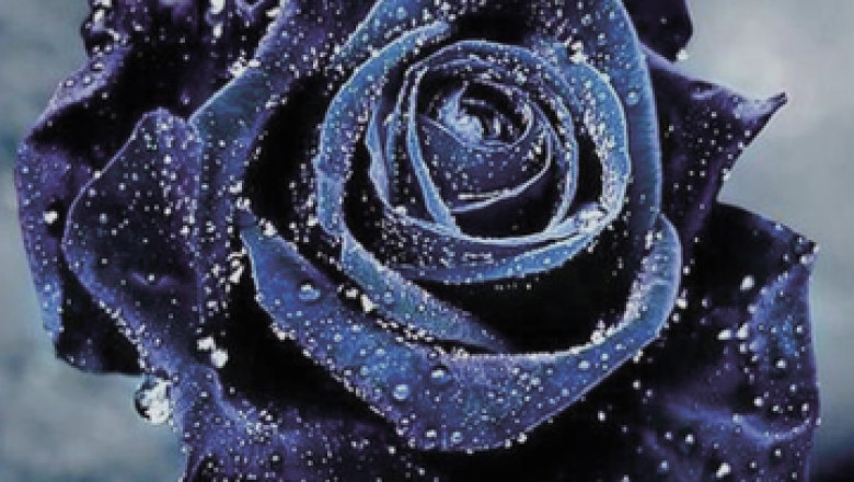 Some Tips That Helps Complete Diamond Painting Faster