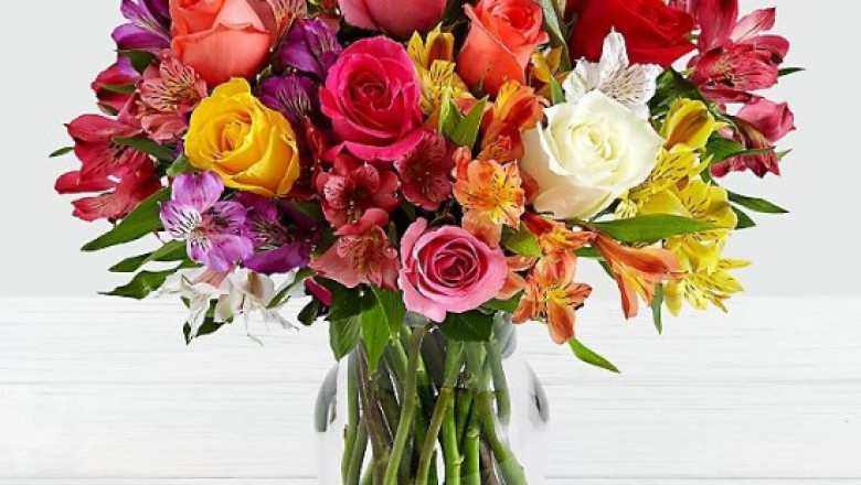 Bolivia Plaza: Leading Flower Supplier in Major Cities Across Bolivia