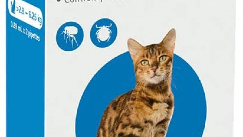 BRAVECTO Spot On for Cats 2.8 to 6.25 Kg Blue Pack 2 Pipettes