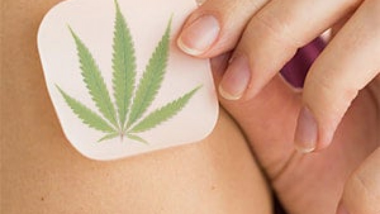 Buy Botanical Wonder CBD Topical Patch Online – Shea’s Healing Way