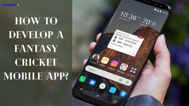 How To Develop a Fantasy Cricket Mobile App?