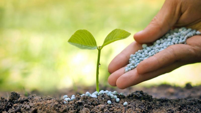 In the Age of Modern Microbiology, Biofertilizers: A Rethinking of Crop Nutrition