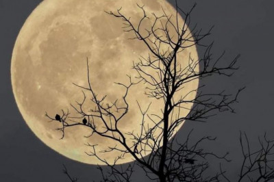 NSW will jointly fund 1,000 electric vehicle charging stations across the state over four years.