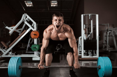 The value of Gym Equipment