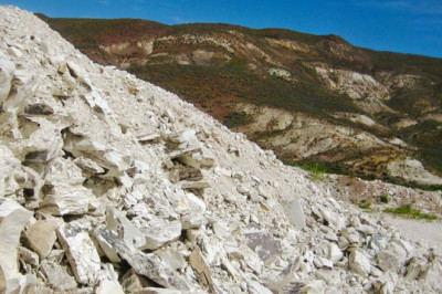 Alumina-Silica-Rich Natural Zeolites Have Wide Applications As Adsorbents Due To Their High Alumina-Silicate Content.