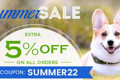 Pet Food & Supplies | Low Prices & Free Shipping | DiscountPetCare