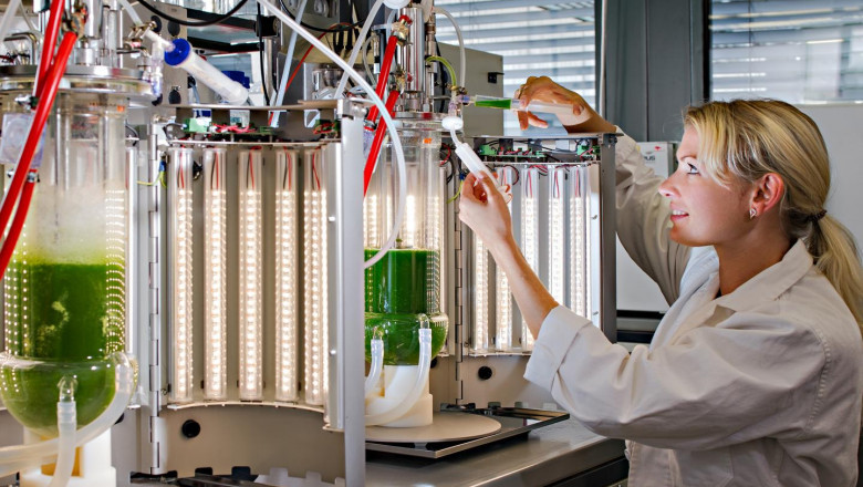 Bioreactors are emerging as an environmentally friendly solution for various chemical process