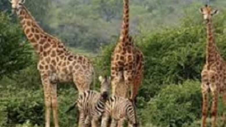 Cape Town guided tours