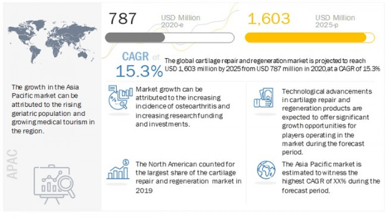 Cartilage Repair Market Industry Dynamics, Market Size and Opportunity Forecast to 2025
