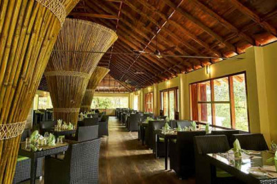 Best Resort in Munnar | Southern Panorama