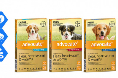 ADVOCATE for Dogs 6 Pipettes Flea Heartworm and Worm Prevention