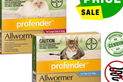Maintain the health of your cats with Profender Allwormer